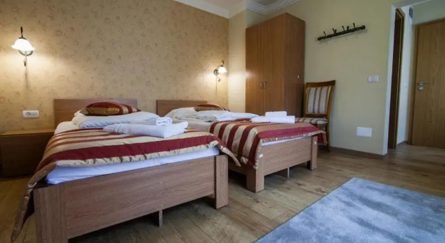 Двухместный номер Standard Pension Andronic