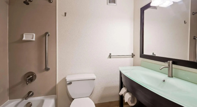 Standard huone Best Western Plus Portage Hotel and Suites