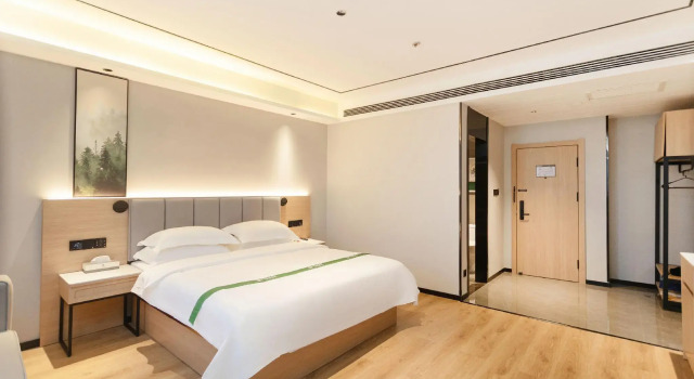 GreenTree Inn Puyang Fan County People Avenue Banqiao Road Hotel