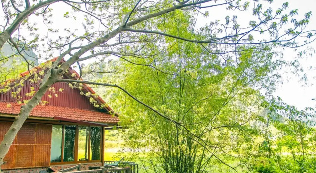 Бунгало с 2 комнатами Lotus Field Homestay