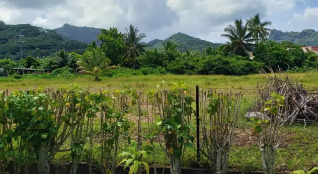 TEREVAA 2, Buchen Sie Hotel Fare Huahine
