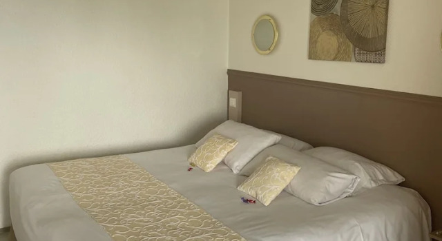 Двухместный номер Standard Hôtel Côté Sud Léman
