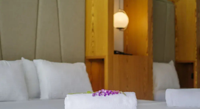 Номер Standard Orka World Hotel & Aquapark