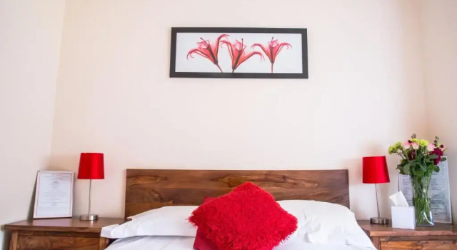 Двухместный номер Standard The Dolphin Hotel