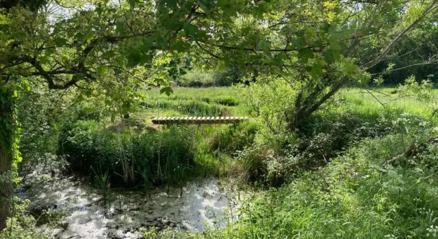 The Shepherd's Hut with seasonal Swimming Pool, Réserver Hôtel Wrexham 