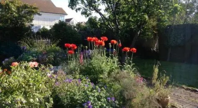 Rowan Cottage Guest House, Rezervasyon Misafirhane Dunbar East Lothian