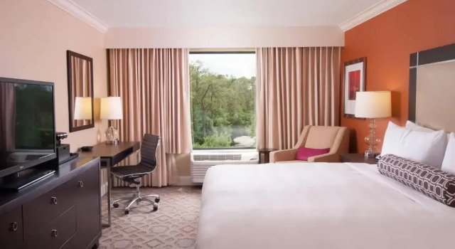 Номер Standard Delta Hotels by Marriott Orlando Lake Buena Vista