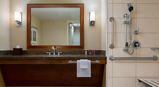 Двухместный номер Standard Macon Marriott City Center