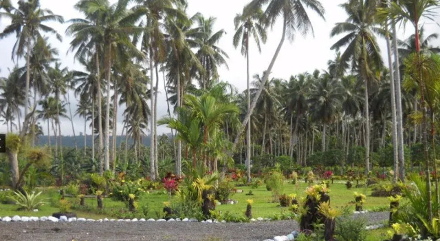 Vai Villas, Book Hotel Hotels in Siumu with Parking, Parking