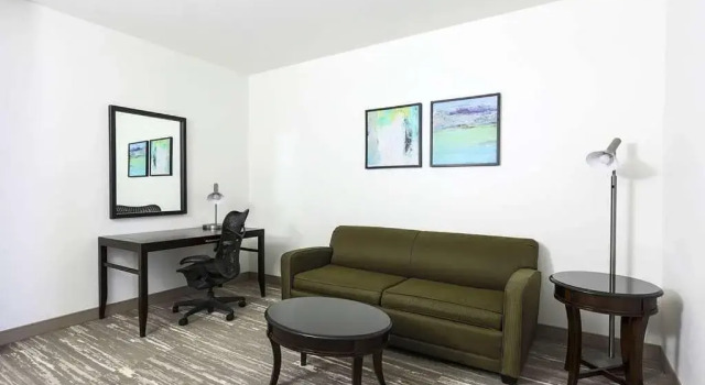 Одноместный люкс Hilton Garden Inn Norman