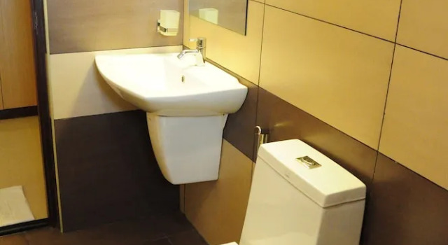 Двухместный номер Deluxe Hotel South Regency