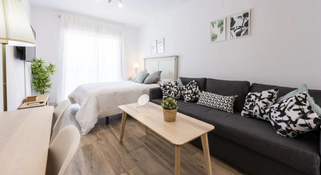 Студия Standard Apartamentos Toboso Plaza