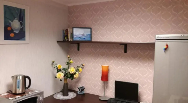 Студия Papiniidu Apartment