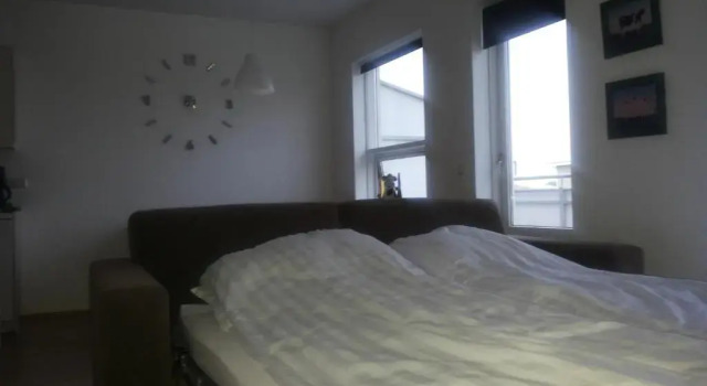 Апартаменты c 1 комнатой Borg Apartments
