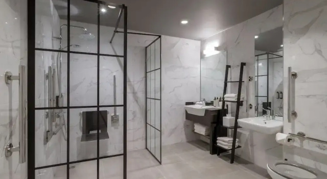 Двухместный люкс Hyatt Centric The Liberties Dublin