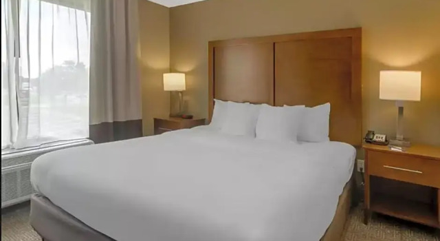 Номер Standard Comfort Inn & Suites Peachtree Corners - Norcross