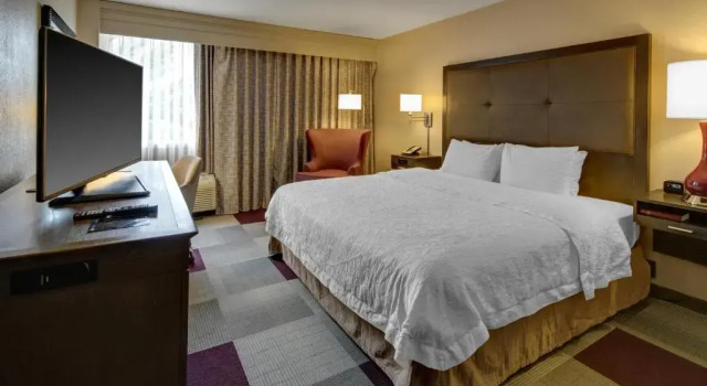 Двухместный номер Hampton Inn Miami-Coconut Grove/Coral Gables