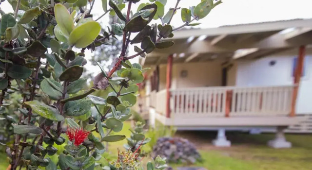 Коттедж Hale Mauna Loa - Kuuipo Cottage