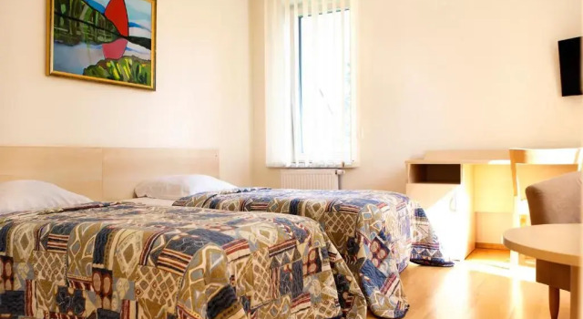 Двухместный номер Standard Domus Hotel