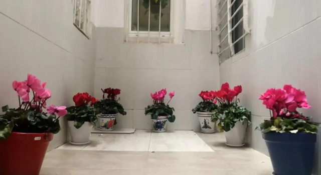 M5 Cool Terrace. Metro 1 min. Center 15' by metro
