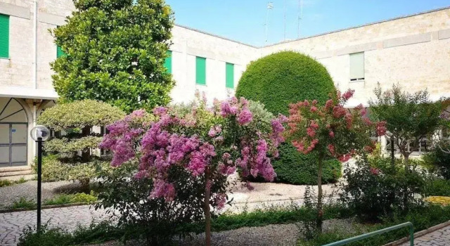 Il Trullo dell'Immacolata