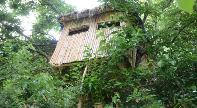 Eagle Nest, Buchen Sie Hotel Martvili Samegrelo Zemo-Svaneti