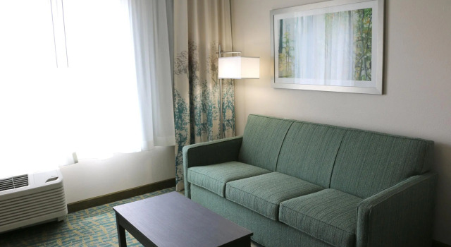 Двухместный люкс Holiday Inn Express & Suites - Hendersonville SE - Flat Rock by IHG