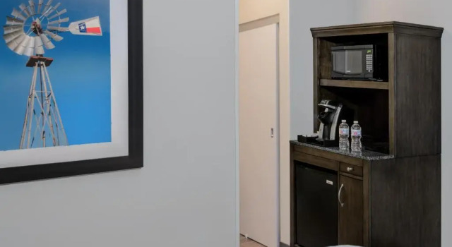 Двухместный номер Premium Hilton Garden Inn San Antonio At The Rim