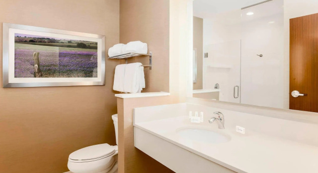 Четырёхместный люкс Fairfield Inn & Suites by Marriott Decatur at Decatur Conference Center