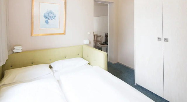 Апартаменты Deluxe Villa Franz