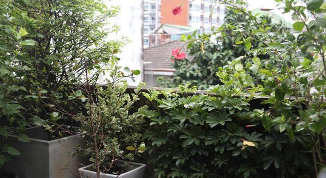WYH Boutique and Design Hostel, Забронировать Хостел Бангкок провинция Бангкок, рядом с Станция наземного метро Krung Thon Buri