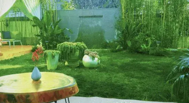 Judy‘s Country House