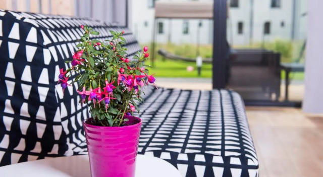 Апартаменты Strefa Mielno Domki Apartamentowe