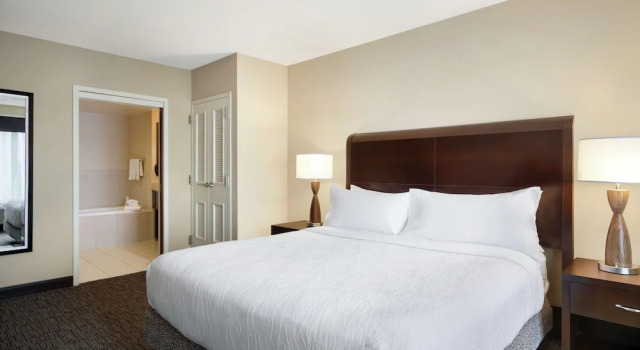 Люкс Deluxe c 1 комнатой Hilton Garden Inn Atlanta Downtown