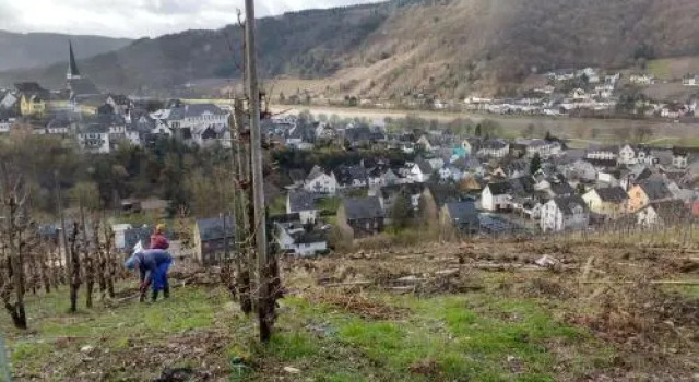 Weingut Stiftshof, Забронировать Отель Трабен-Трарбах Мозель - Германия