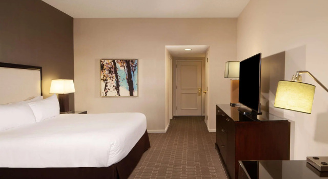 Двухместный номер Standard Hilton Alexandria Old Town