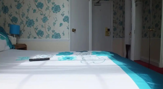 Двухместный номер Standard The Prince Regent Hotel