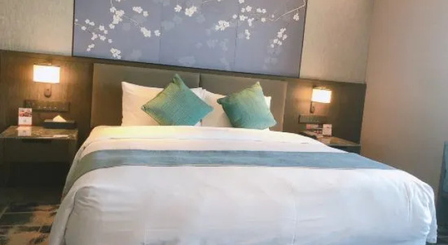 Люкс с красивым видом из окна Citilink Hotel