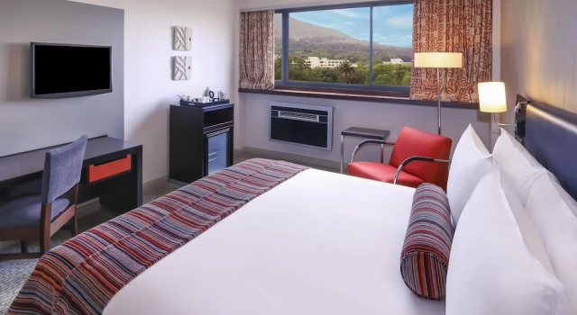 Номер Standard Southern Sun Newlands
