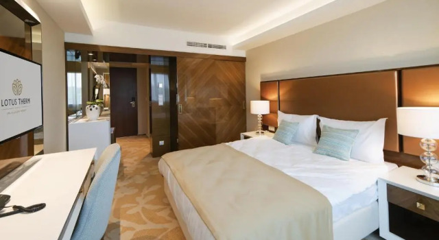 Одноместный номер Standard Lotus Therm Spa&Luxury Resort