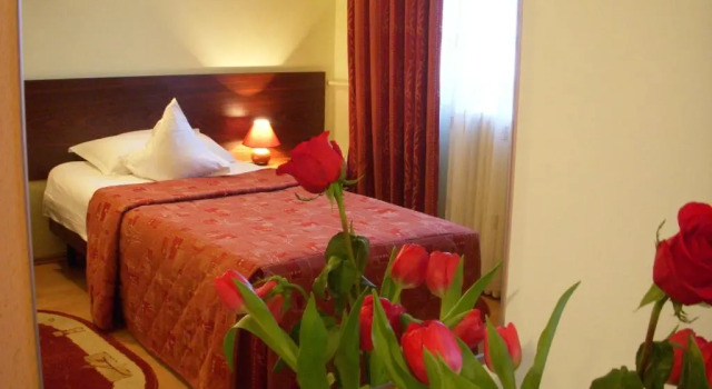 Номер Standard Hotel Decebal