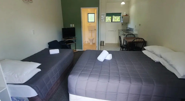 Студия с видом на горы Ohakune Court Motel