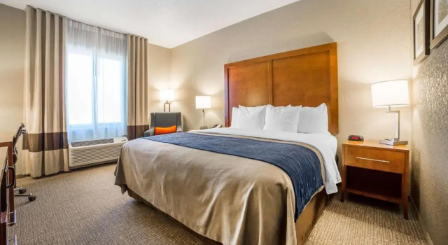 Номер Standard Comfort Inn & Suites