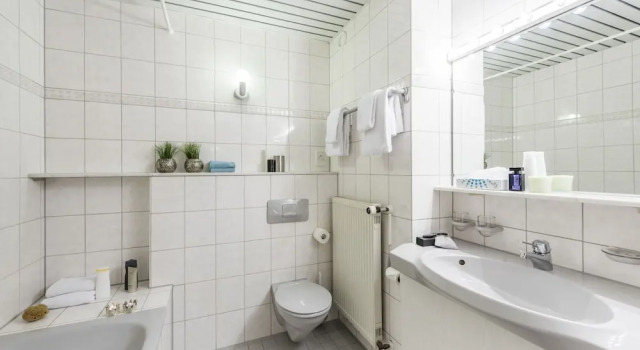 Двухместный номер Comfort Hotel Monika