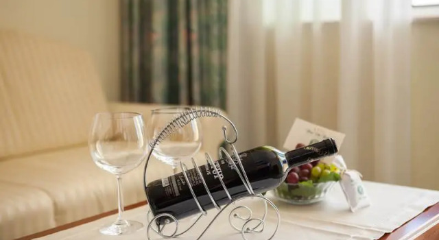 Семейный номер Standard с балконом и с видом на парк Hotel Villa Bacchus