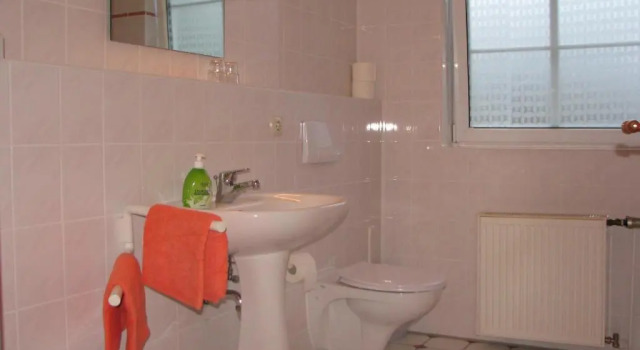 Двухместный номер Standard Ferienparadies Mühlenbach