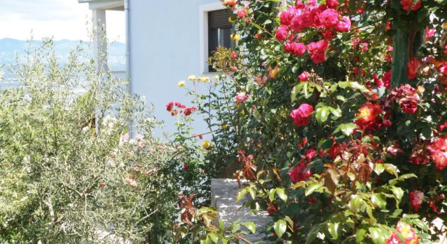 Апартаменты Villa Roze