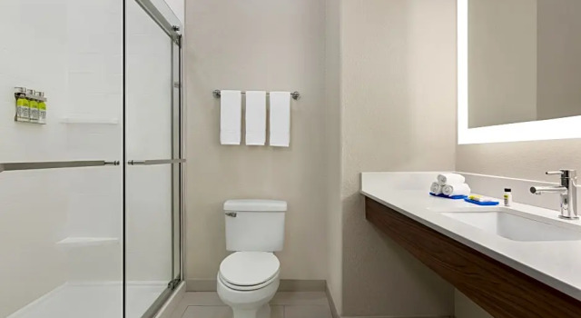 Двухместный полулюкс Holiday Inn Express Hotel & Suites Mission-McAllen Area by IHG