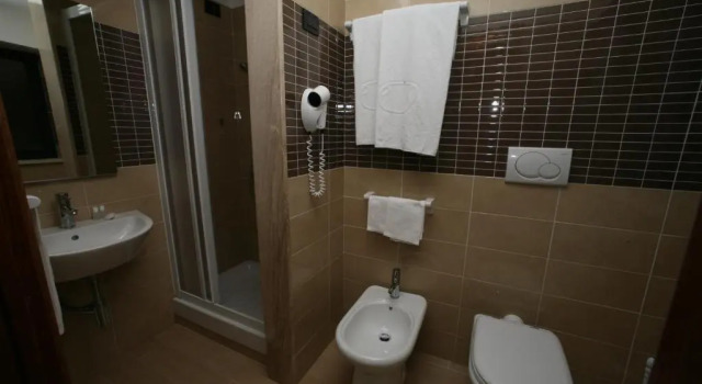 Одноместный номер Standard Hotel President Pomezia