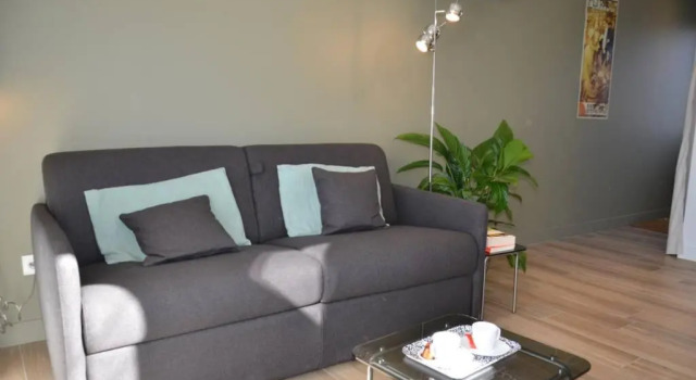 La Griotte - Studio tout confort - Lyon - Tassin, Prenota Appartamento Tassin-la-Demi-Lune Rodano